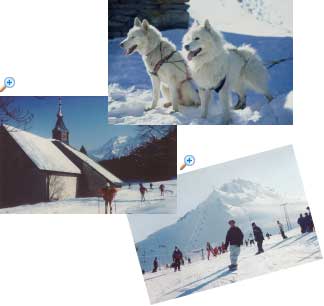 Pour un agrandissement, cliquez sur la photo