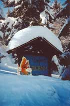 Album - Hiver