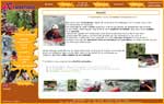 www.7aventures.com